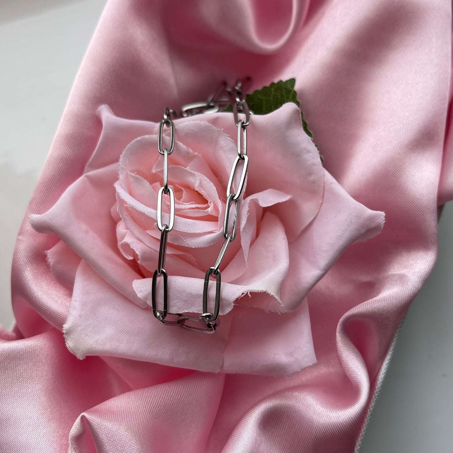 Dainty Chain Choker Necklace - Lxyclr Authentic