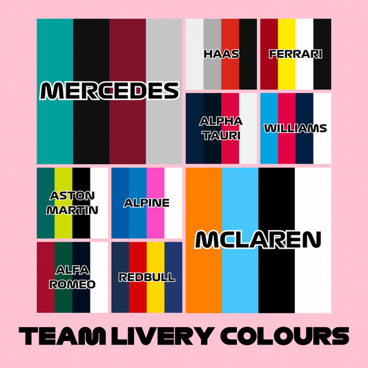 Formula 1 Team Driver Keyring