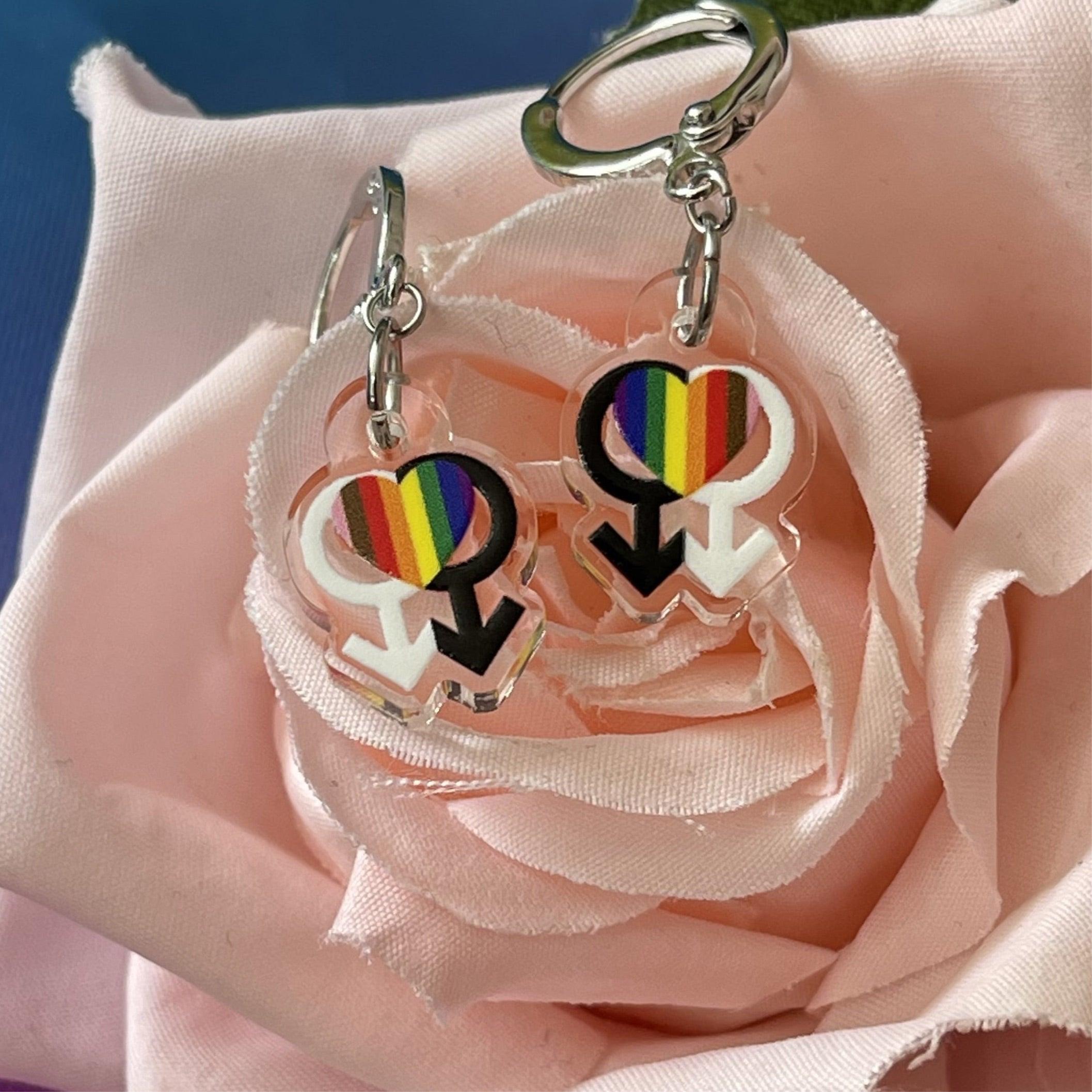 Rainbow 2025 flag earrings