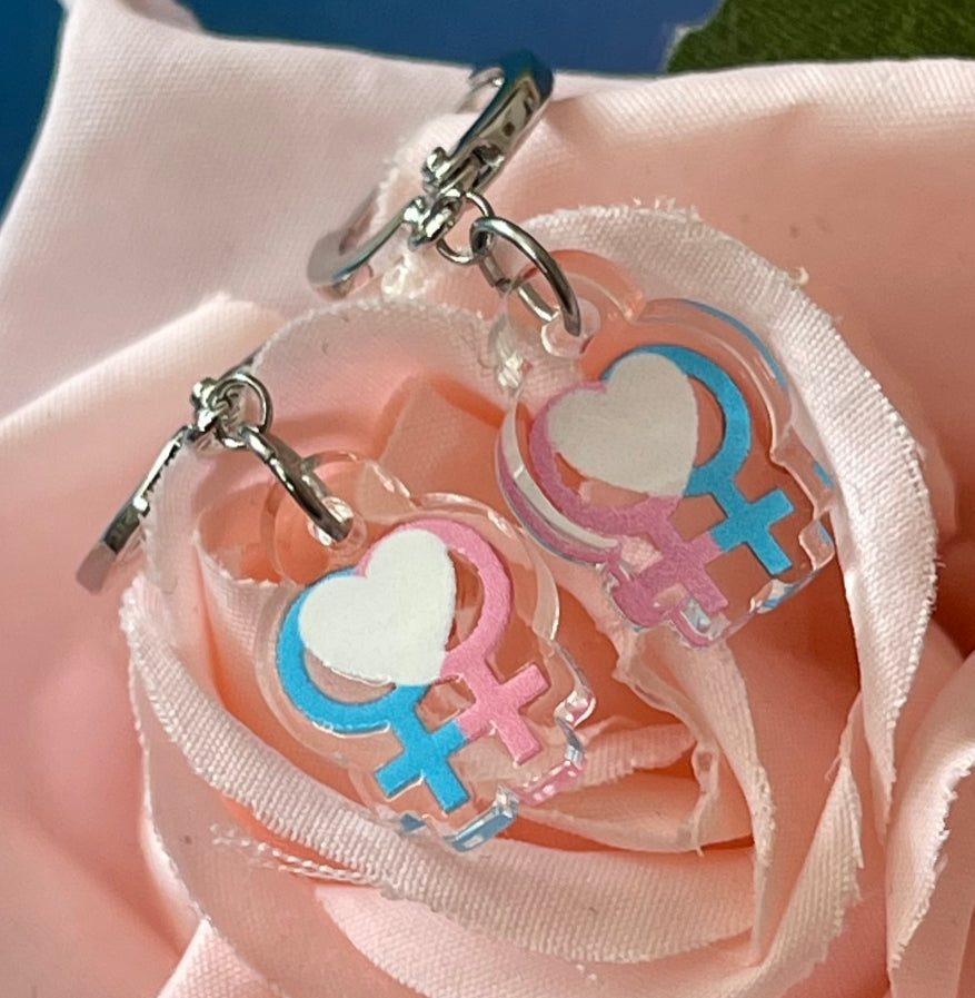 Transgender Female Pride Flag Inspired Earrings - Lxyclr Authentic